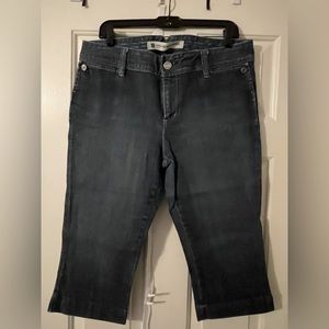 GAP Jeans Crops Capri Pants Denim sz 12